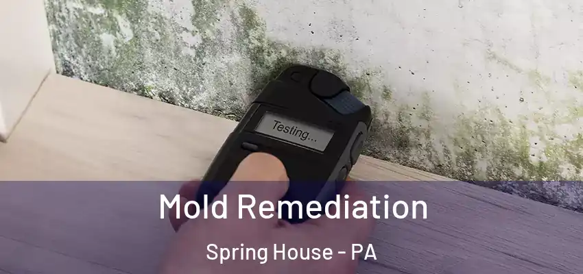 Mold Remediation Spring House - PA