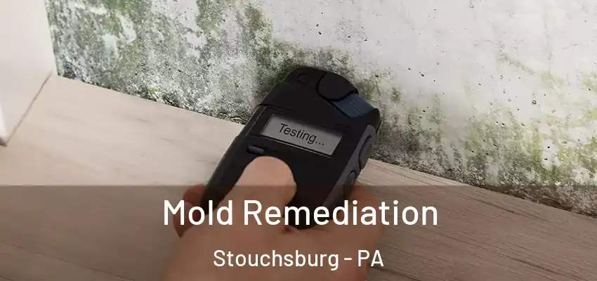 Mold Remediation Stouchsburg - PA