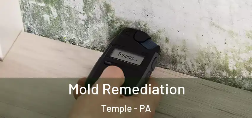 Mold Remediation Temple - PA