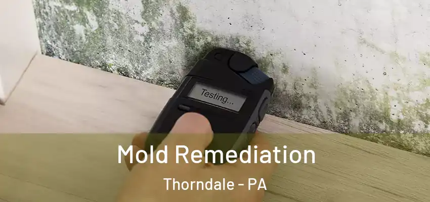 Mold Remediation Thorndale - PA