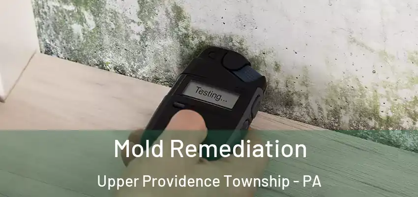  Mold Remediation Upper Providence Township - PA