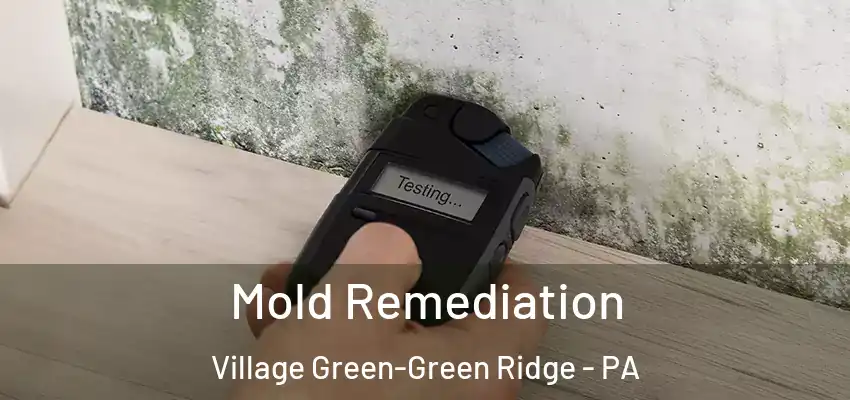 Mold Remediation Village Green-Green Ridge - PA