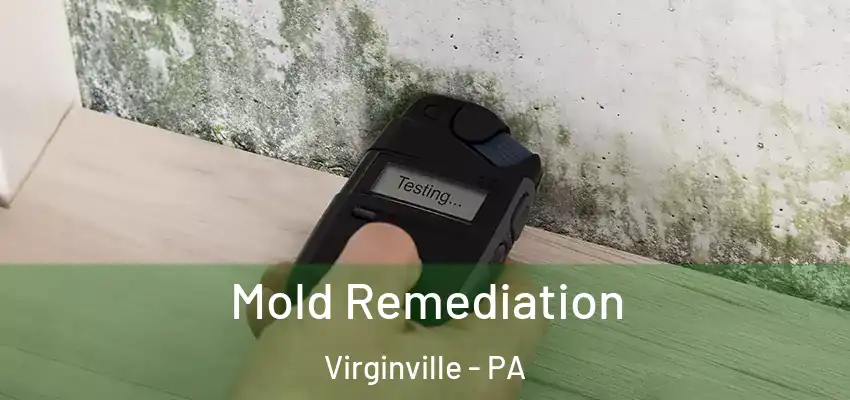  Mold Remediation Virginville - PA