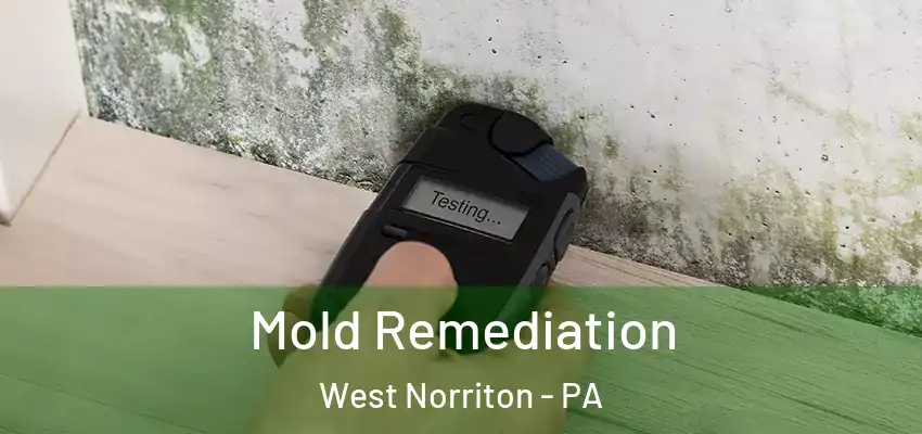 Mold Remediation West Norriton - PA