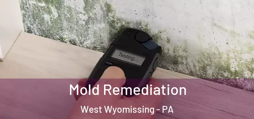  Mold Remediation West Wyomissing - PA