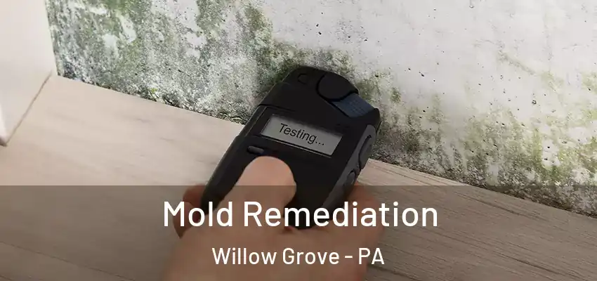  Mold Remediation Willow Grove - PA