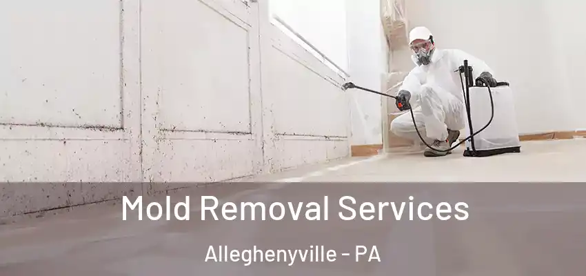  Mold Removal Services Alleghenyville - PA