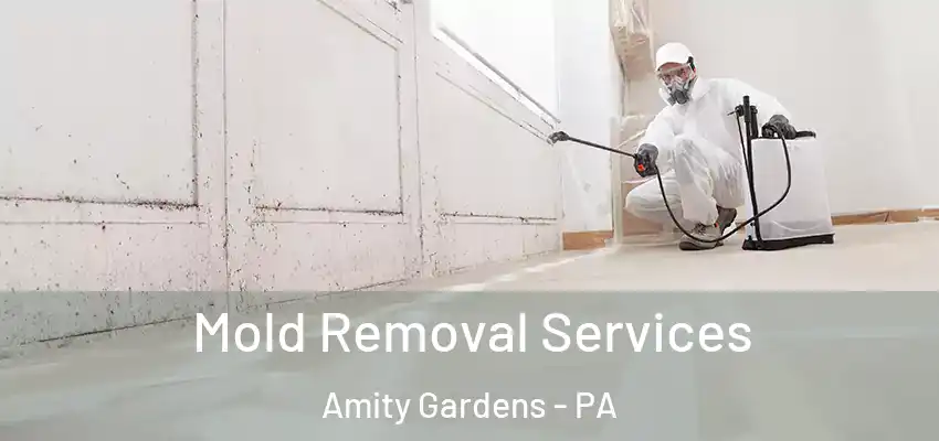 Mold Removal Services Amity Gardens - PA