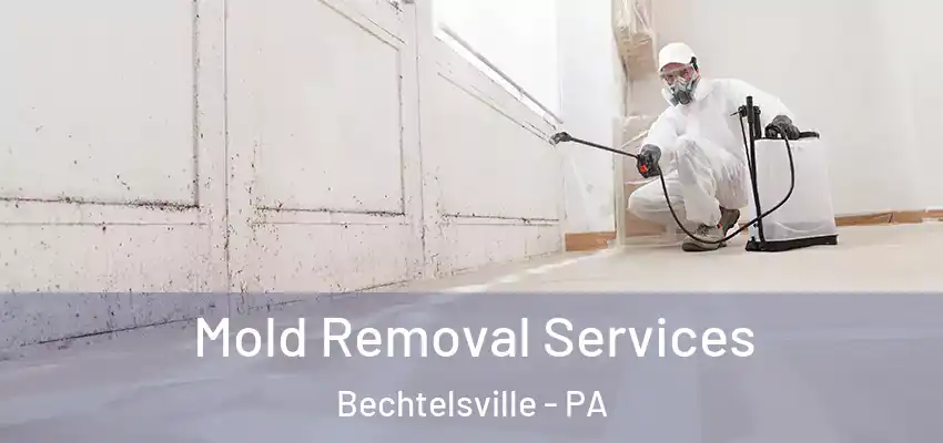  Mold Removal Services Bechtelsville - PA