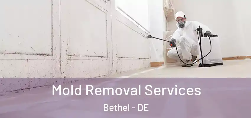  Mold Removal Services Bethel - DE