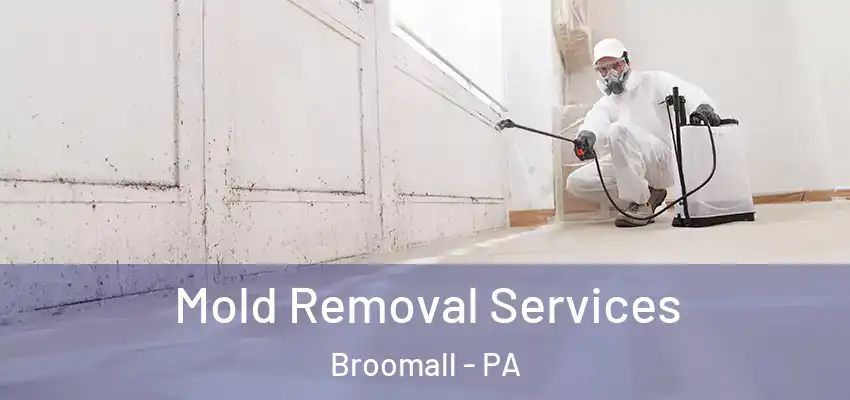  Mold Removal Services Broomall - PA