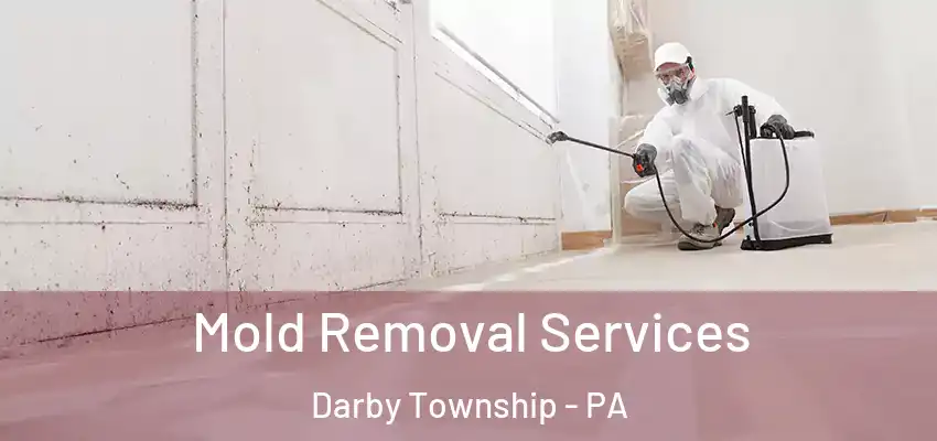 Mold Removal Services Darby Township - PA