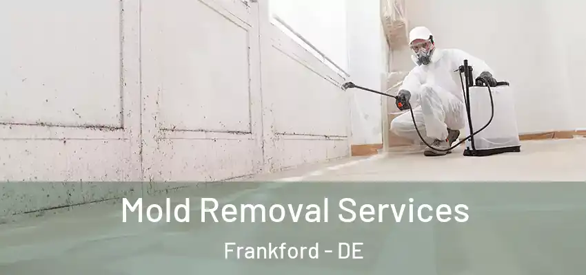 Mold Removal Services Frankford - DE