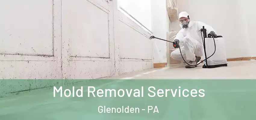  Mold Removal Services Glenolden - PA