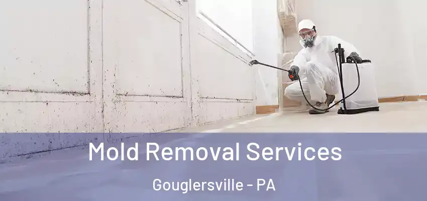  Mold Removal Services Gouglersville - PA