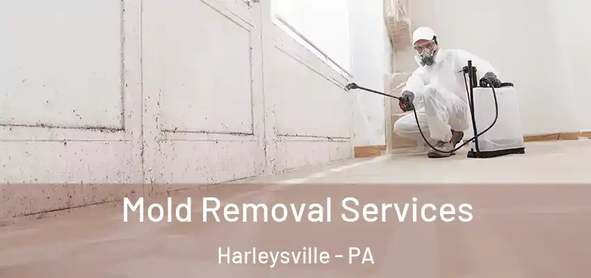 Mold Removal Services Harleysville - PA