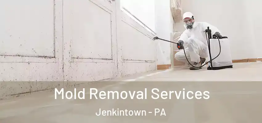 Mold Removal Services Jenkintown - PA