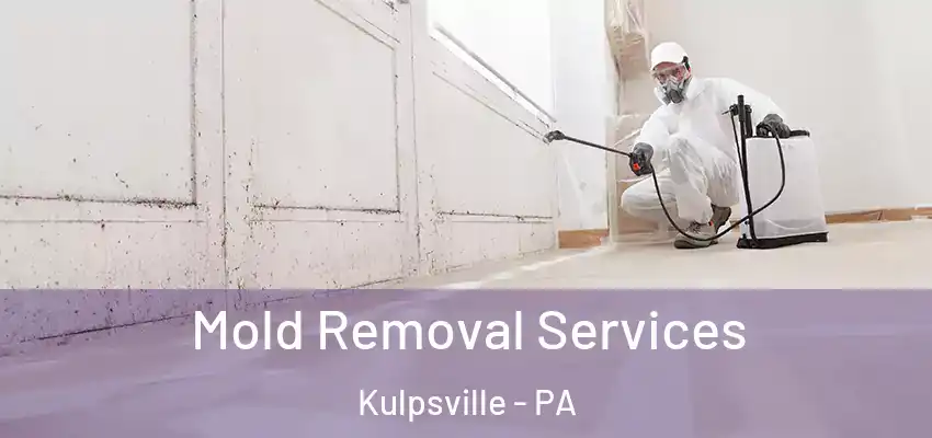 Mold Removal Services Kulpsville - PA