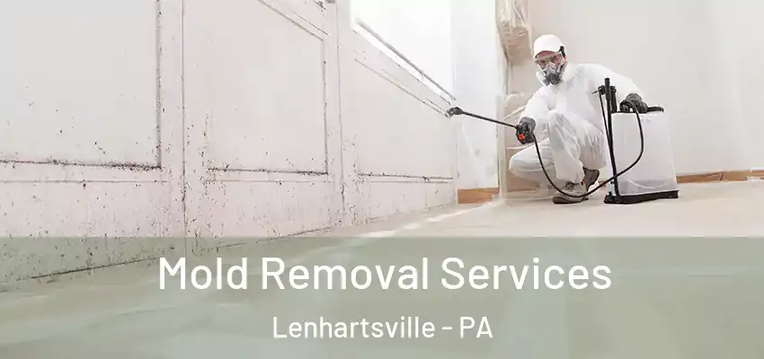  Mold Removal Services Lenhartsville - PA