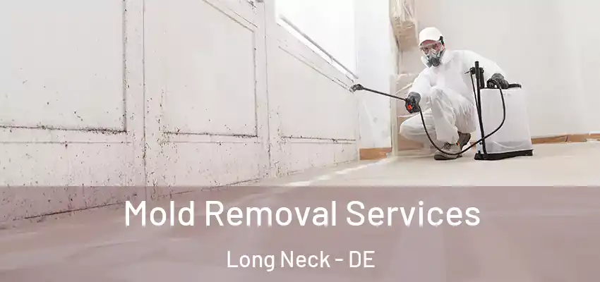 Mold Removal Services Long Neck - DE