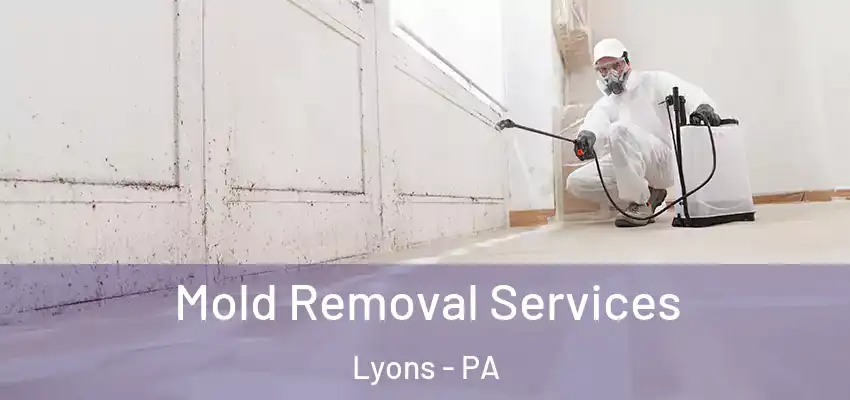 Mold Removal Services Lyons - PA