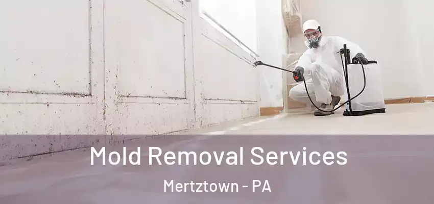 Mold Removal Services Mertztown - PA