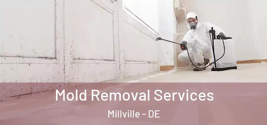 Mold Removal Services Millville - DE
