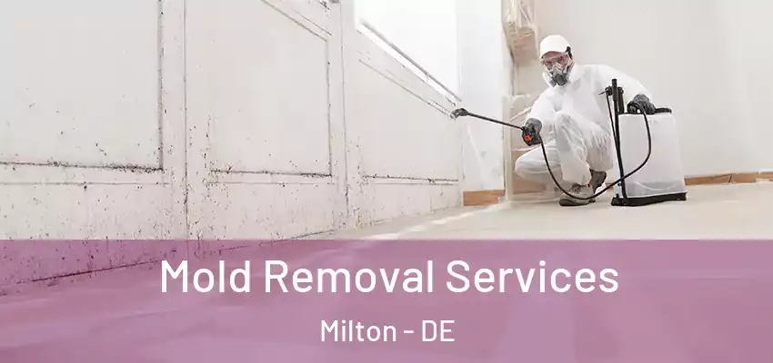Mold Removal Services Milton - DE
