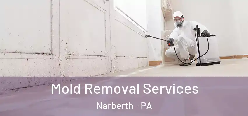  Mold Removal Services Narberth - PA