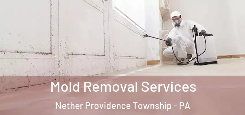  Mold Removal Services Nether Providence Township - PA