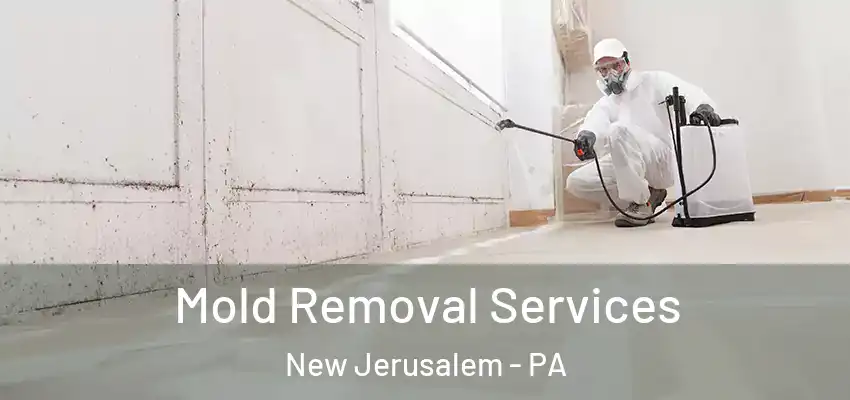 Mold Removal Services New Jerusalem - PA