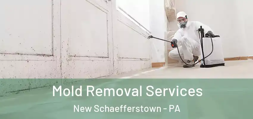  Mold Removal Services New Schaefferstown - PA