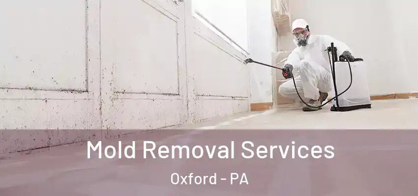 Mold Removal Services Oxford - PA