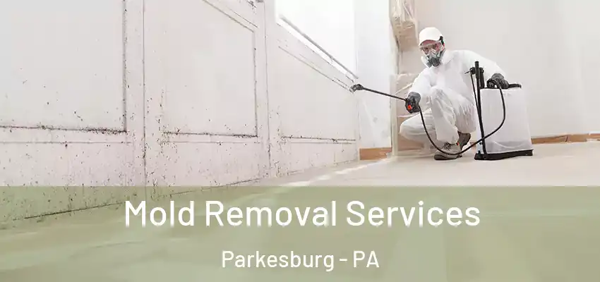  Mold Removal Services Parkesburg - PA