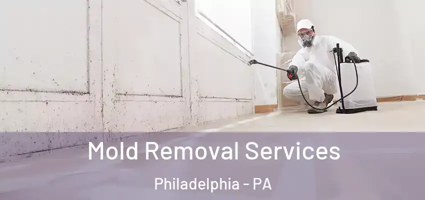  Mold Removal Services Philadelphia - PA