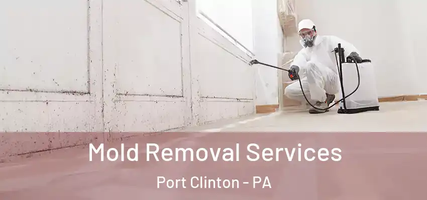 Mold Removal Services Port Clinton - PA