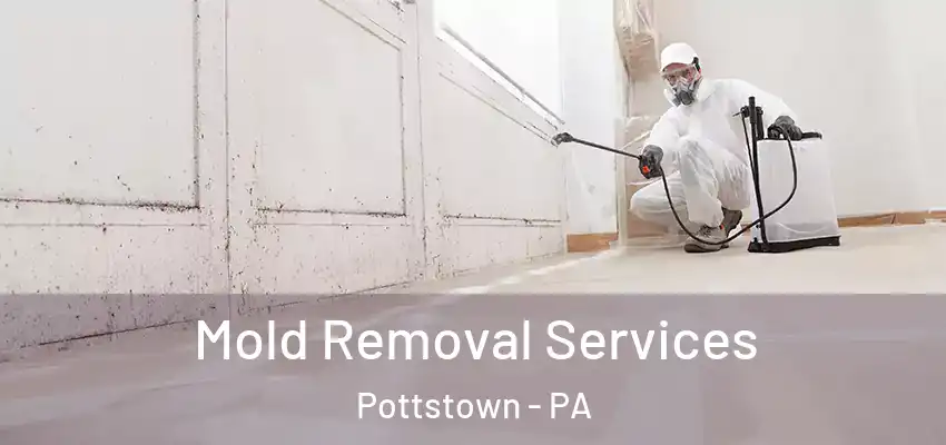 Mold Removal Services Pottstown - PA