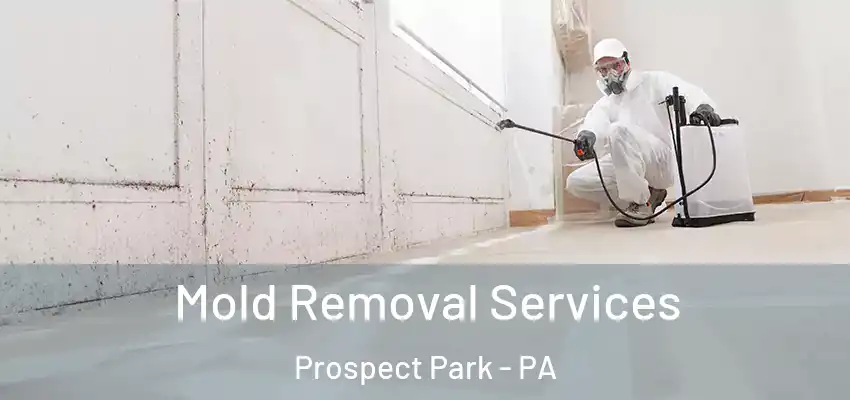  Mold Removal Services Prospect Park - PA