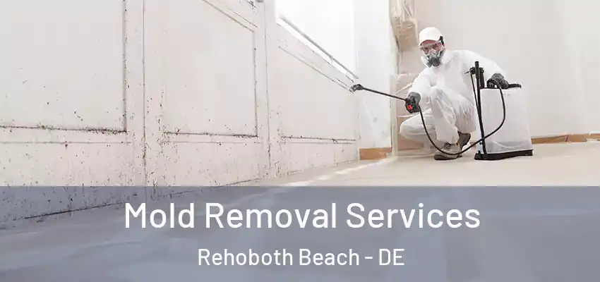 Mold Removal Services Rehoboth Beach - DE
