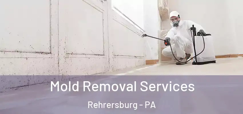 Mold Removal Services Rehrersburg - PA