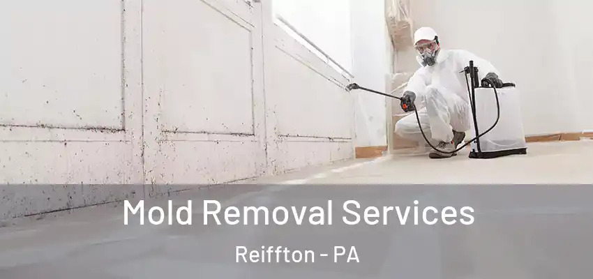 Mold Removal Services Reiffton - PA
