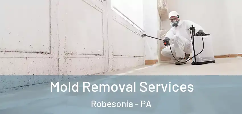 Mold Removal Services Robesonia - PA