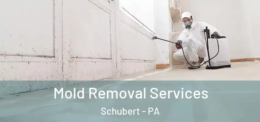  Mold Removal Services Schubert - PA
