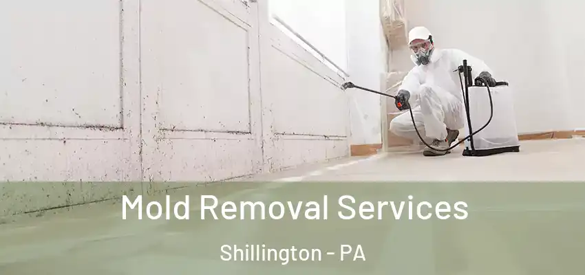 Mold Removal Services Shillington - PA