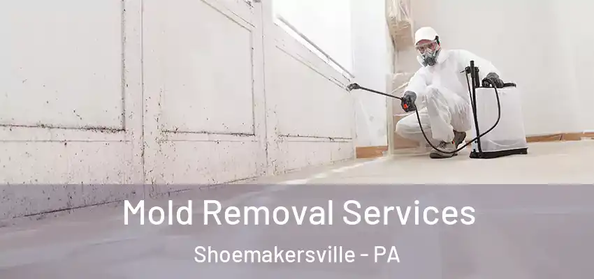 Mold Removal Services Shoemakersville - PA
