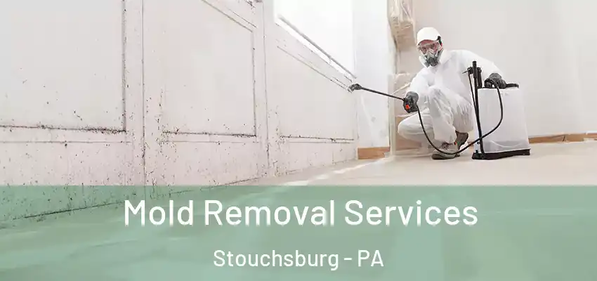 Mold Removal Services Stouchsburg - PA