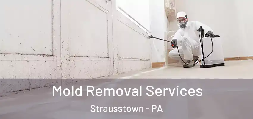 Mold Removal Services Strausstown - PA