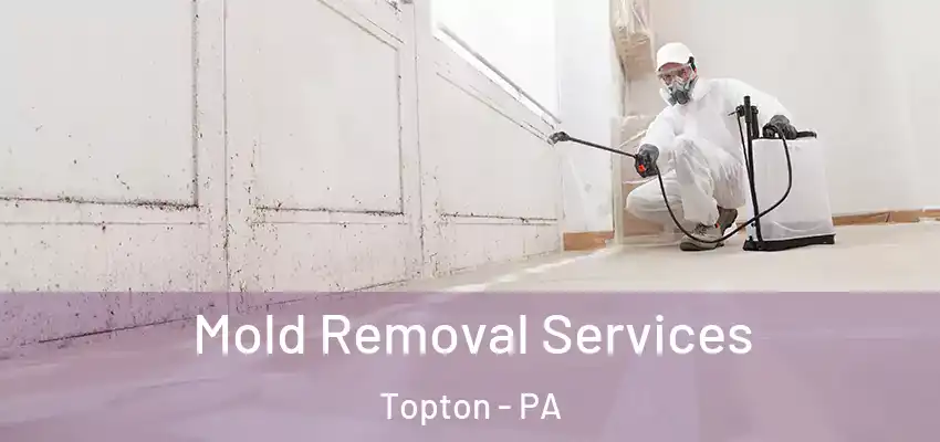 Mold Removal Services Topton - PA