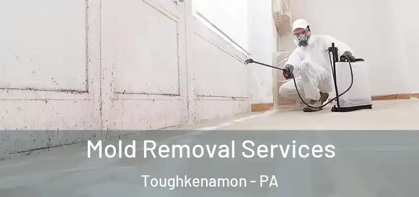 Mold Removal Services Toughkenamon - PA