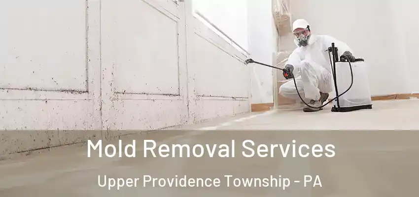 Mold Removal Services Upper Providence Township - PA